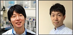 野口裕生，原谷健太の顔写真