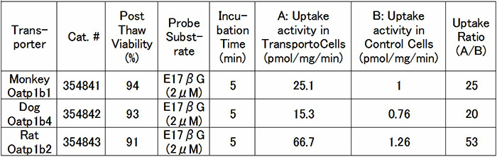 表1．3種類の動物Oatp1b TransportoCells による基質取り込み