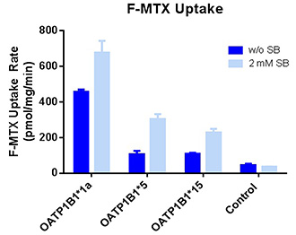図4．野生型および変異型ヒトOATP1B1 TransportoCells によるF-MTX取り込み