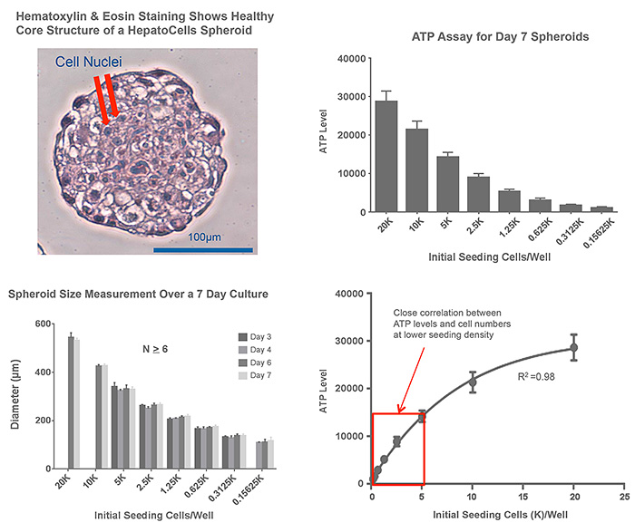 nl31_6_corning_Fig2