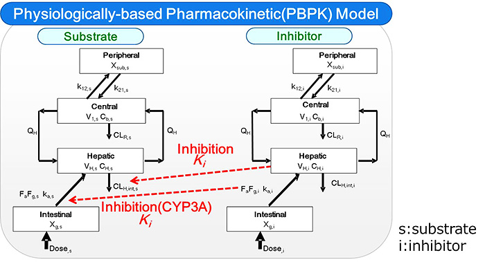 図1 PBPKモデルの模式図