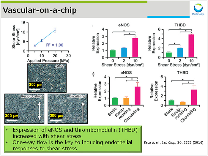 図2：Vascular-on-a-chip